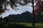 Course View