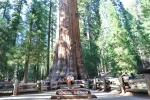 General Sherman