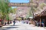 Calico