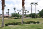1st Tee