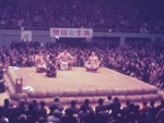 Sumo Dream